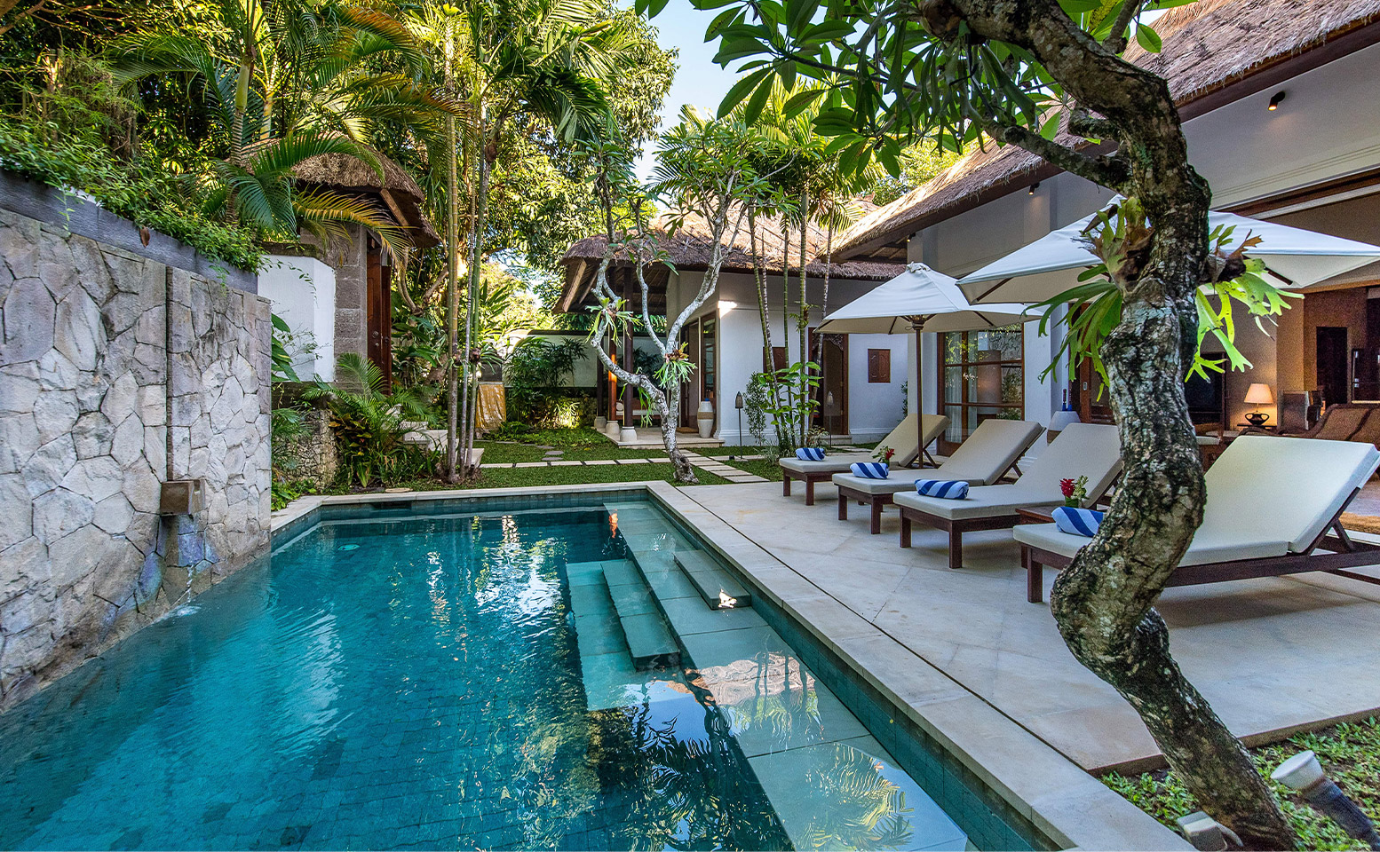 Villa Senada - sun loungers and pool with frangipani trees at garden